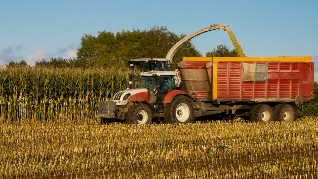 Transport de bovins et de fourrage : comment bien équiper son exploitation aujourd&rsquo;hui ?